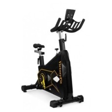 VictoryFit VF-GymRider 225