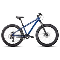 Подростковый горный (MTB) велосипед FORWARD Bizon Mini 24 (2020)